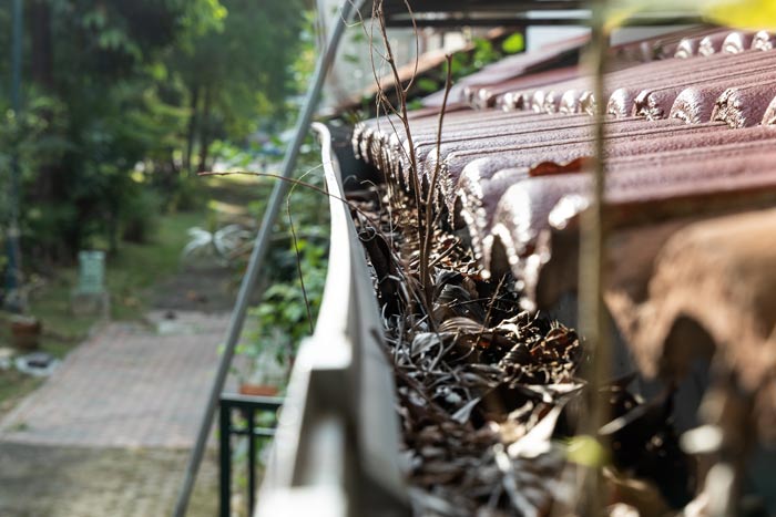 Clogged Gutters