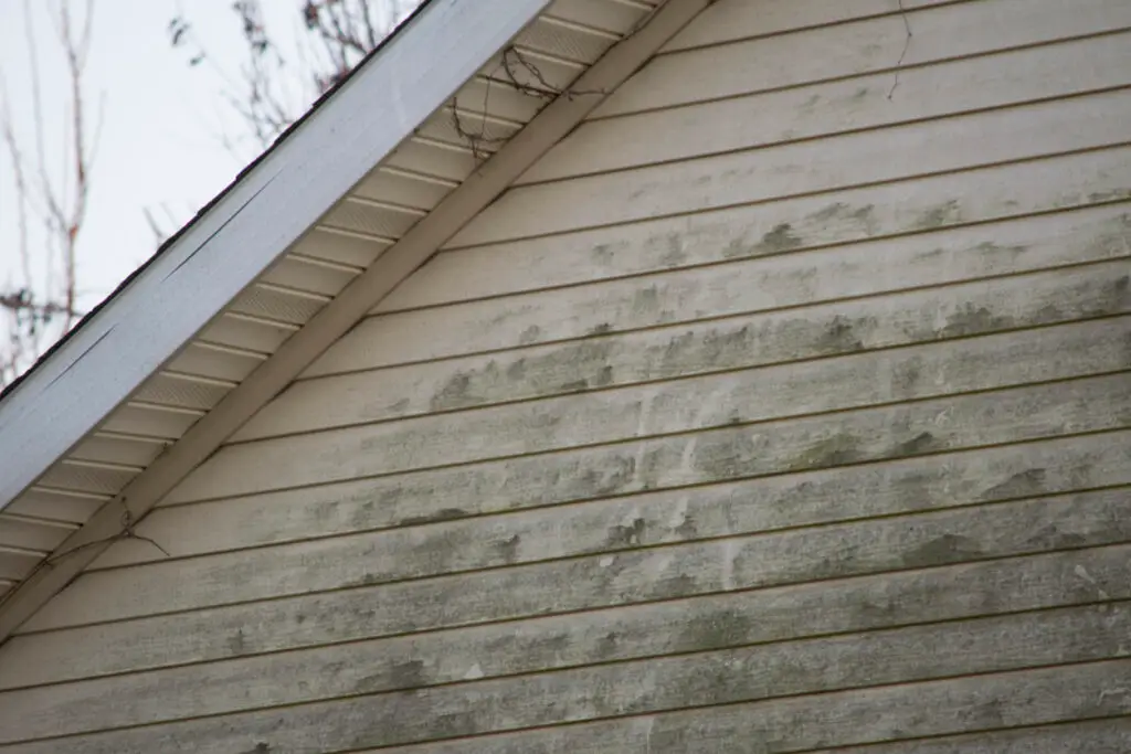 Mold and algae on roofs - A residential property showing mold and algae growth on its siding.