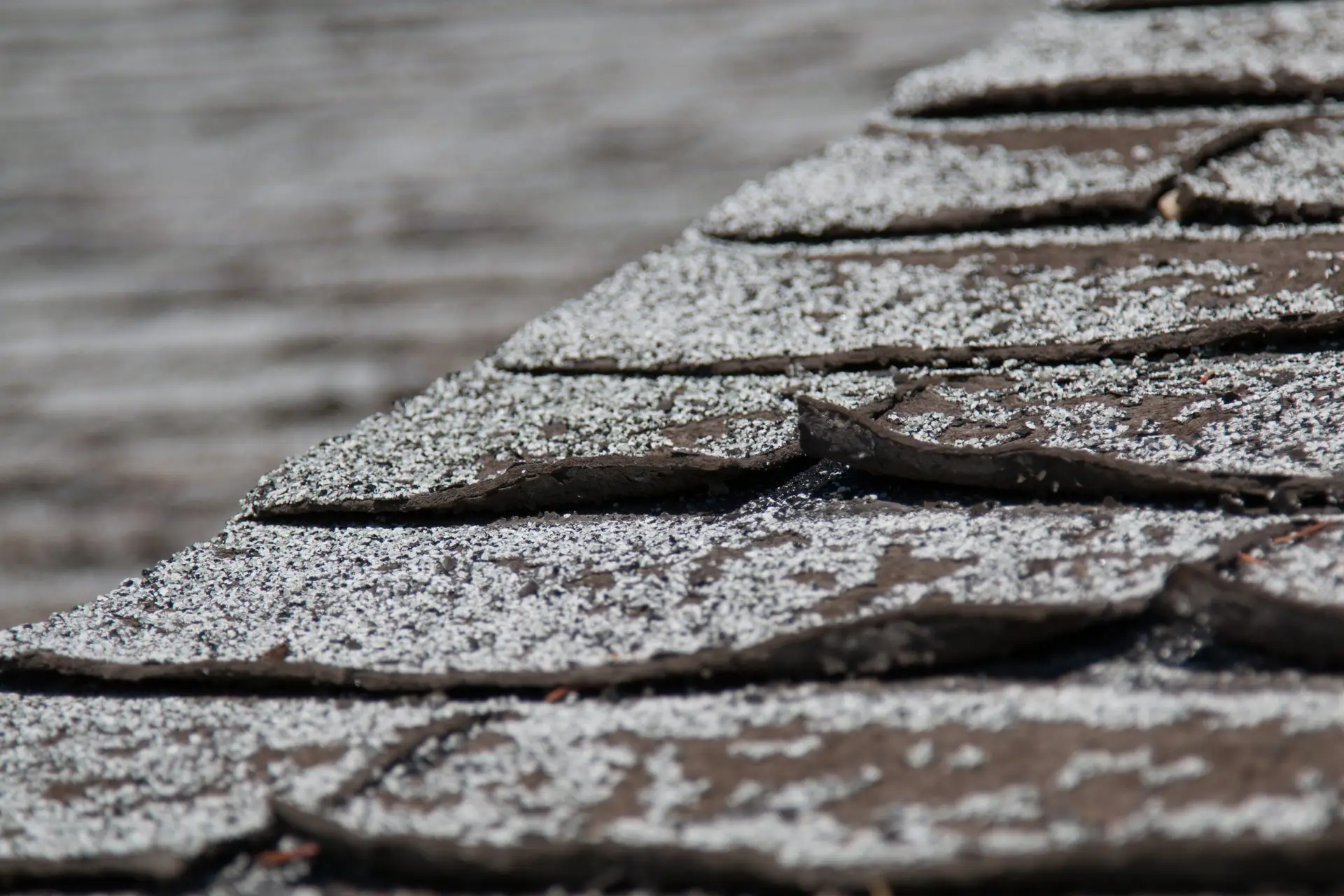 Curling Roof Shingles