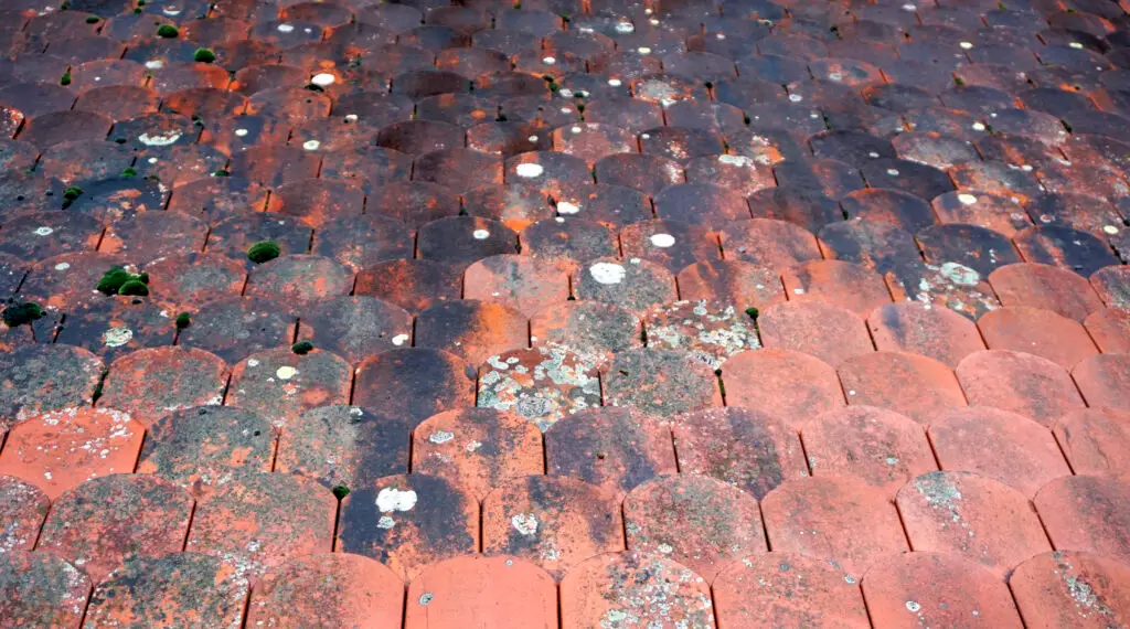 Hail Damage Roof