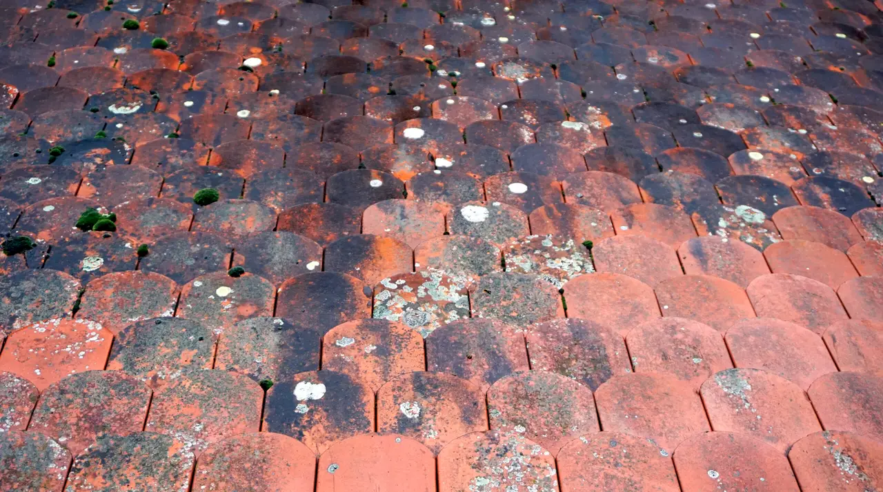 Hail Damage Roof