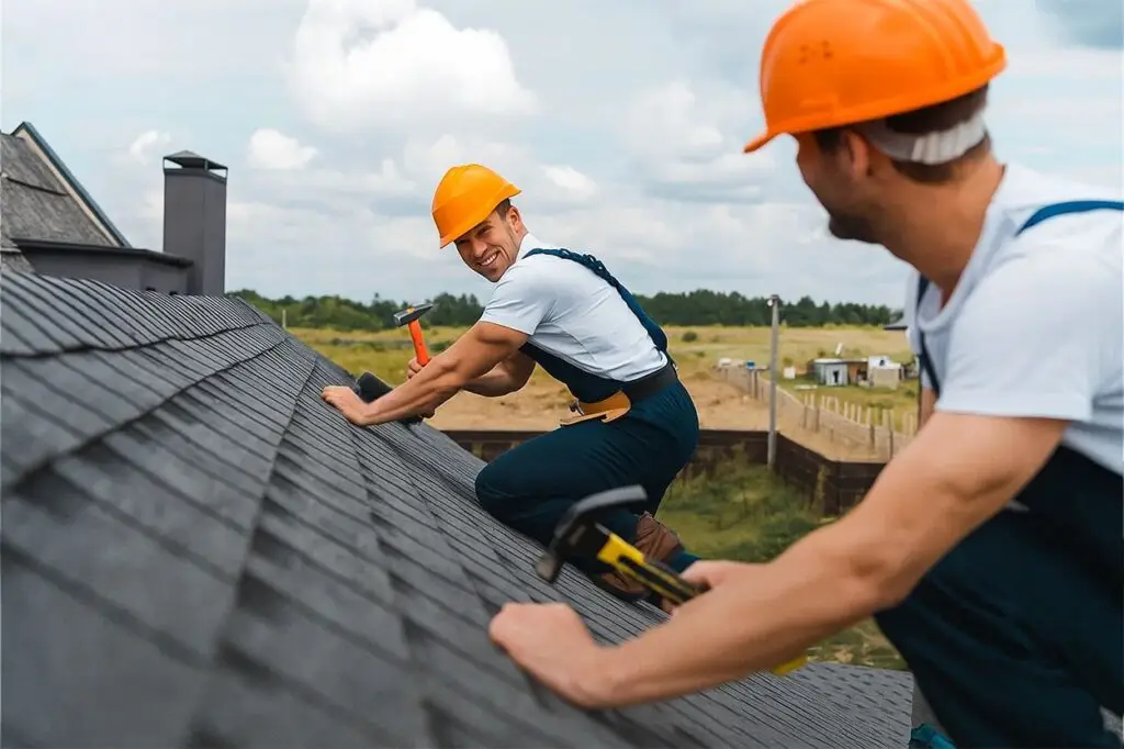 Roof Rescue